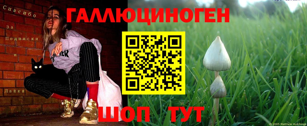 Шарыпово  Галлюциногенные грибы GOLDEN TEACHER  Вход с VPN 